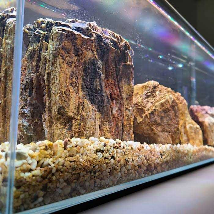 Crystal Bookshelf Aquarium P350324