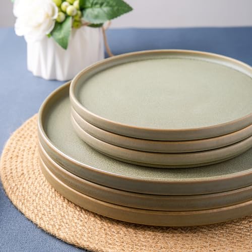 Stoneware Dinner Plates Set of 4, 10.25 Inch Reactive Matte Glaze Ceramic Plates Z272