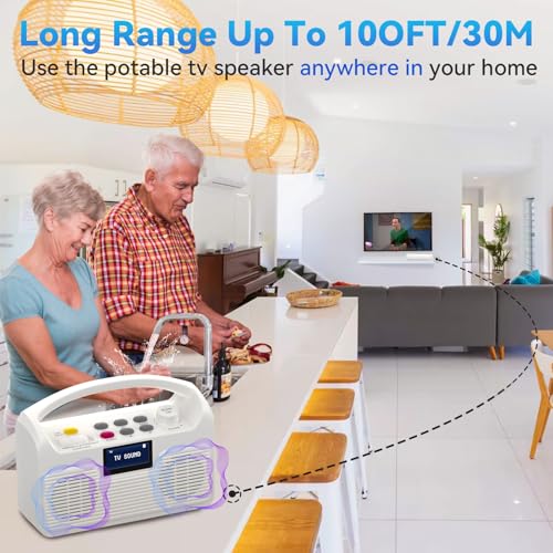 Portable Wireless Bluetooth Speaker with LCD Display P701394