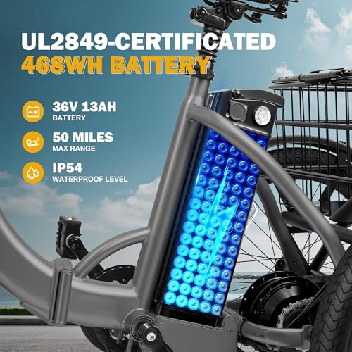 Peak 750W Brushless Motor Folding Trike Ebike with 468Wh Removable Battery Q868669