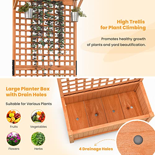 2 Pcs Raised Garden Bed with Trellis & Roof, 72.5" Wooden Planter Box J999