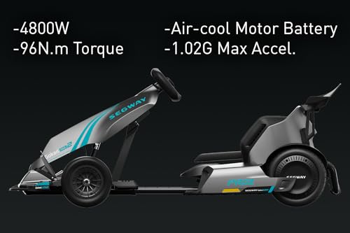 Electric Go Kart Z211