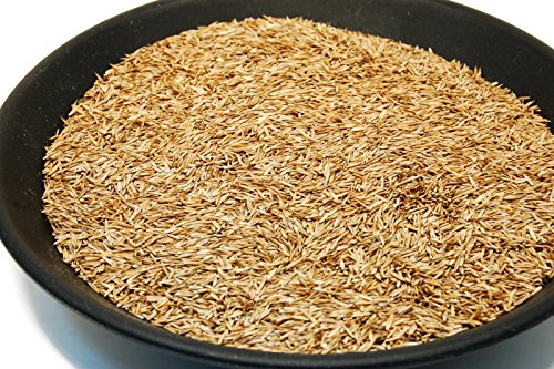 3lbs Tall Fescue Grass Seed Q505