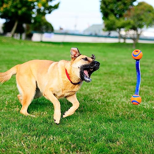 Medium Fetch and Dog Ball Tug Toy S31041
