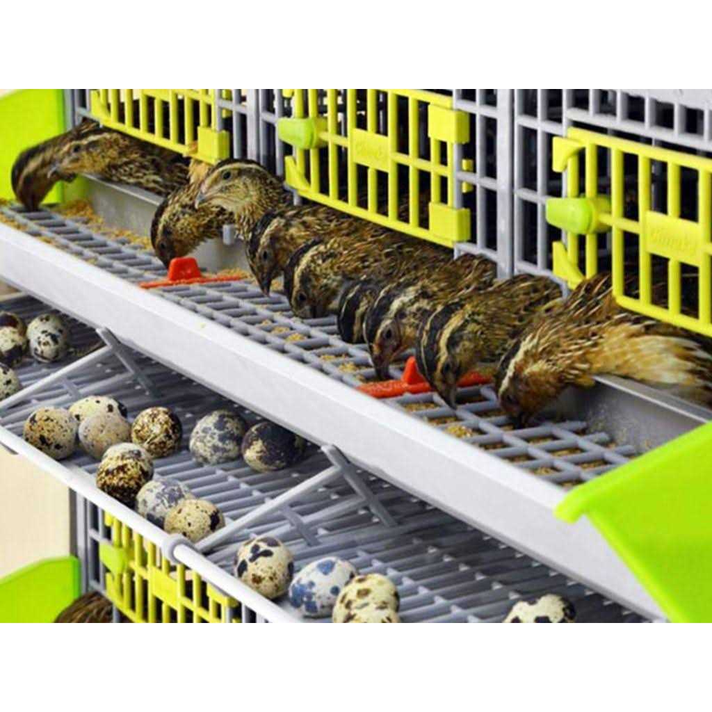 3 Layer Stackable Quail Breeding Cage Y860232