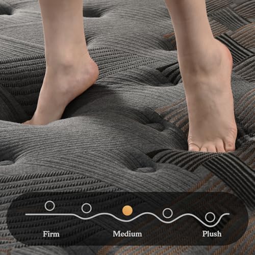 10 Inch Hybrid Queen Mattress with Memory Foam & Pocket Spring O908083