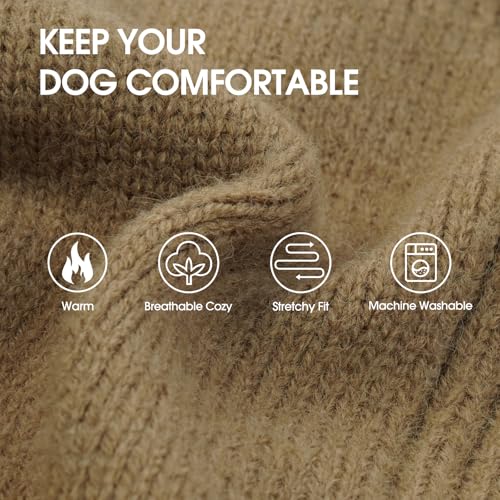Green XXL Dog Sweater V856