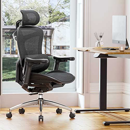 Ergonomic Office Chair with 3D Armrests, Adjustable Backrest, Grey E404218