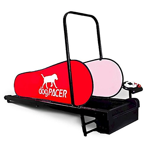 Black and Red Full Size Dog Treadmill I247711