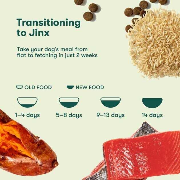 Salmon Brown Rice & Sweet Potato Dry Dog Food F224426