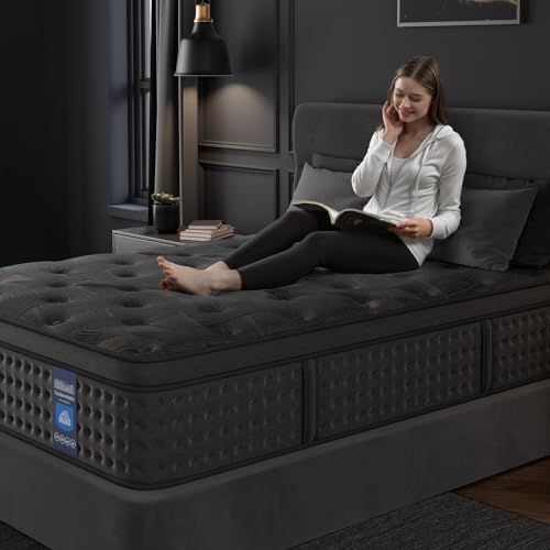 10 Inch Hybrid Queen Mattress with Memory Foam & Pocket Spring O908083