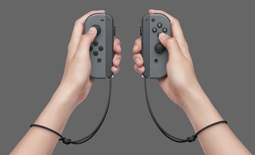 Gray Joy-Con Nintendo Switch K7437