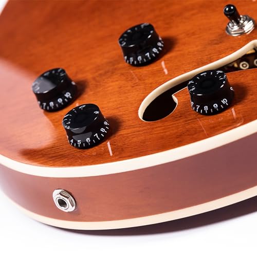 Brown Semi-Hollow Body Electric Guitar with F-Hole D49477