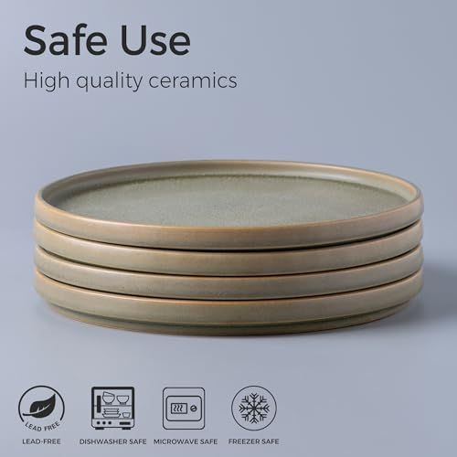 Stoneware Dinner Plates Set of 4, 10.25 Inch Reactive Matte Glaze Ceramic Plates Z272