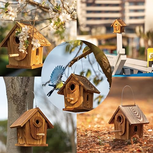 Carbonized Solid Mortise & Tenon Bird House DIY Kit N551935