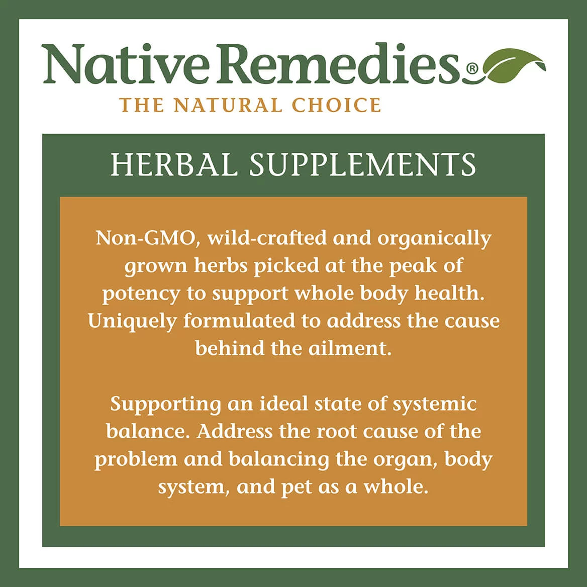 2-Pack Urinary Tract Herbal Supplement R6165