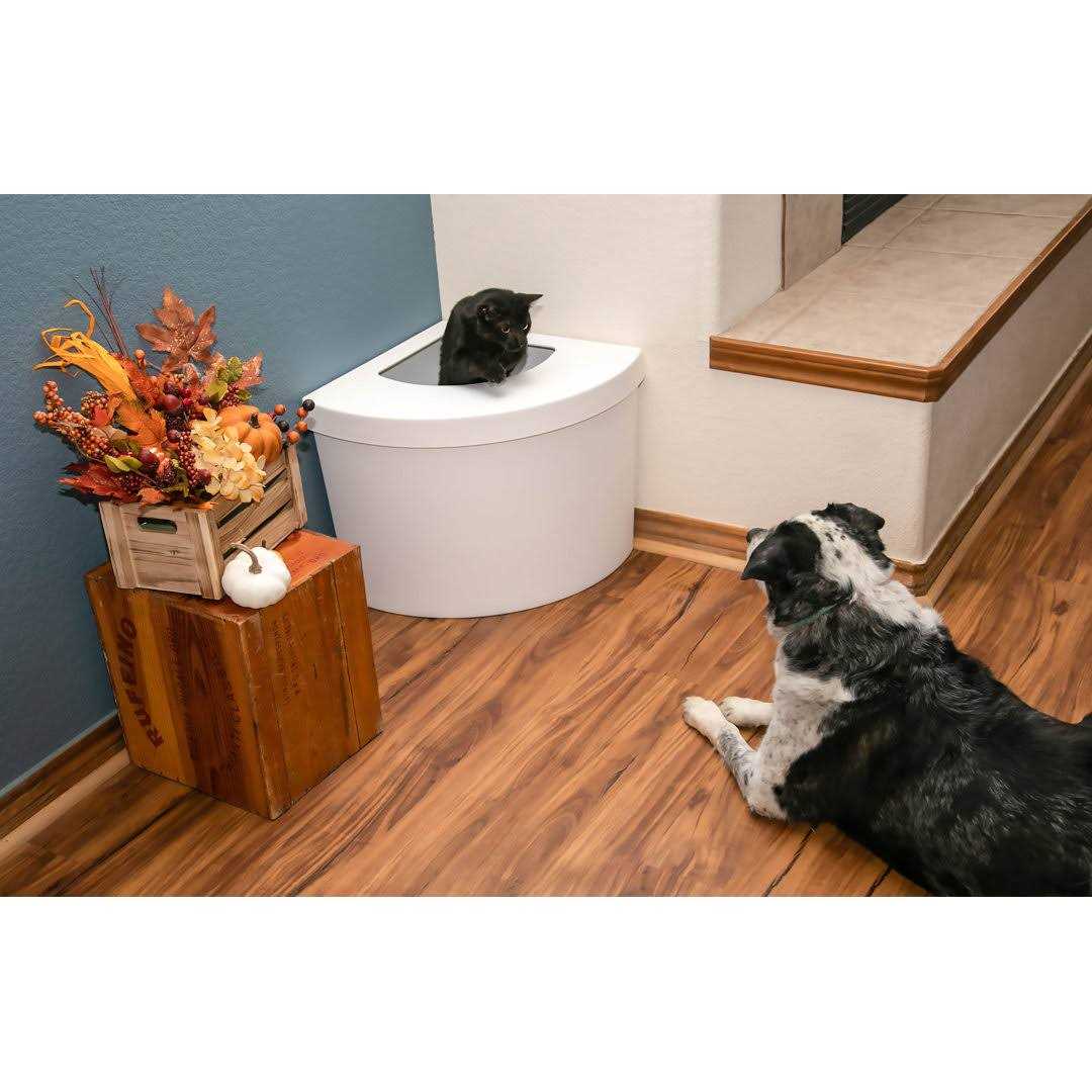 Standard Litter Box Kitangle M554921