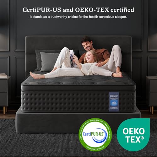 10 Inch Hybrid Queen Mattress with Memory Foam & Pocket Spring O908083