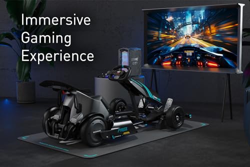 Electric Go Kart Z211