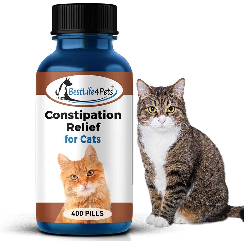 Natural Health Supplements for Cats Constipation Relief M481