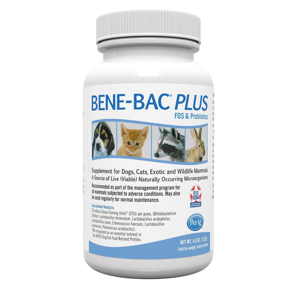Bene-Bac Plus Powder Prebiotic and Probiotic for Dogs, Cats, Exotic and Wildlife Mammals Y411479