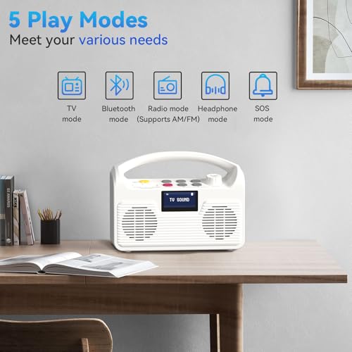 Portable Wireless Bluetooth Speaker with LCD Display P701394