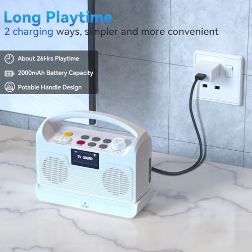 Portable Wireless Bluetooth Speaker with LCD Display P701394