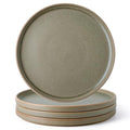 Stoneware Dinner Plates Set of 4, 10.25 Inch Reactive Matte Glaze Ceramic Plates Z272