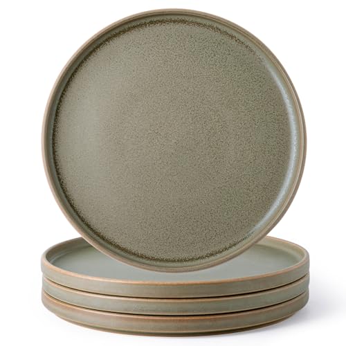 Stoneware Dinner Plates Set of 4, 10.25 Inch Reactive Matte Glaze Ceramic Plates Z272