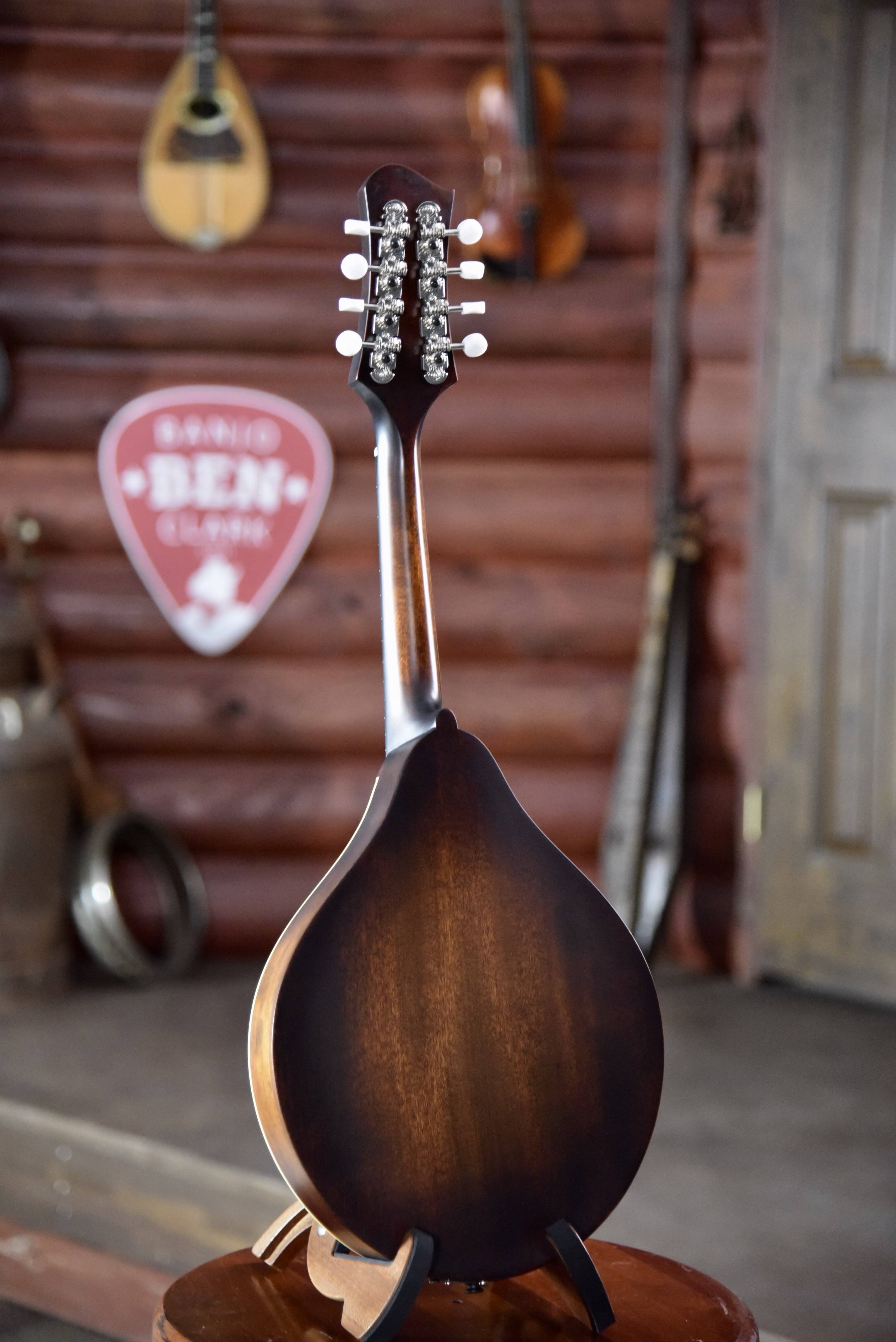 A Style Mandolin I5538