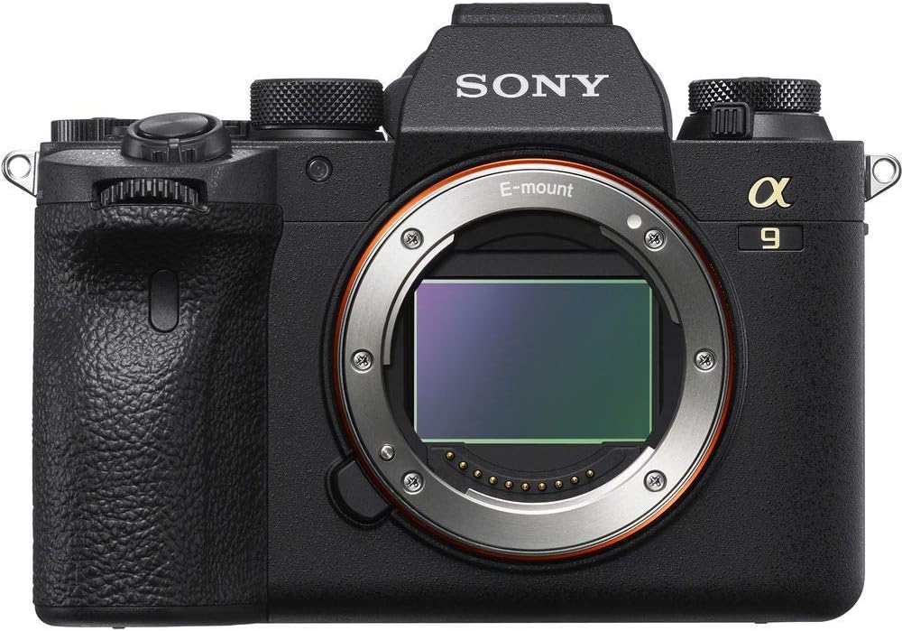 Mirrorless Digital Camera Body Only with 200-600mm Lens, 64GB Memory Card, 2 x NP-FZ-100 Battery, Case, External Charger (Renewed) O2345