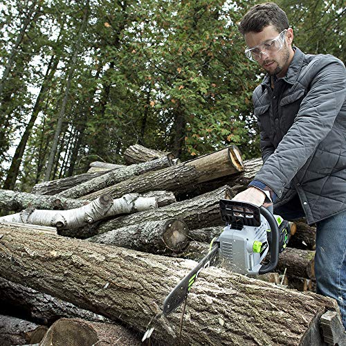 16-Inch 56V Cordless Chainsaw S391