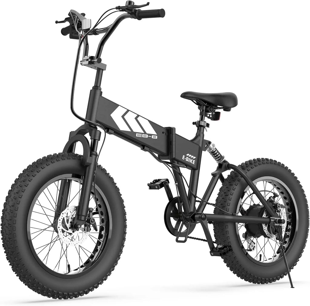 Fat Tire Electric Bicycle F2296