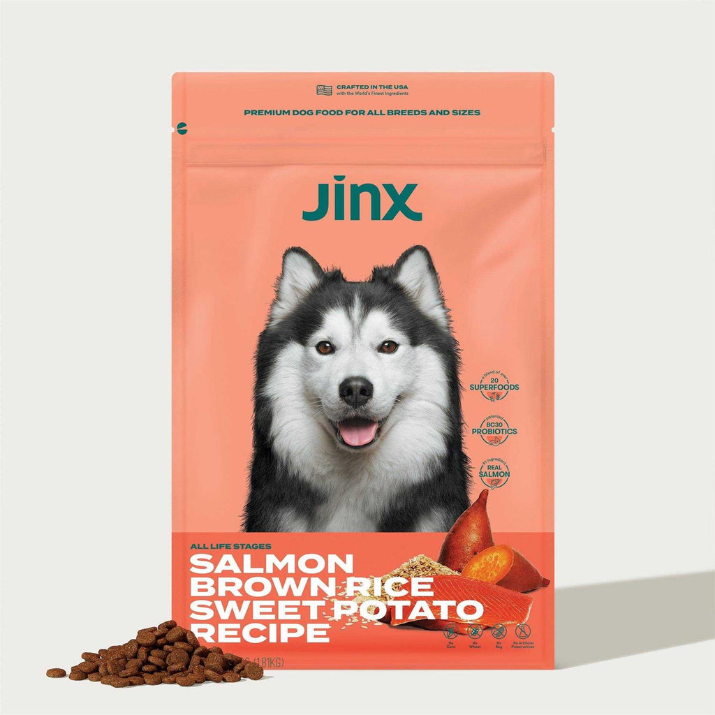 Salmon Brown Rice & Sweet Potato Dry Dog Food F224426