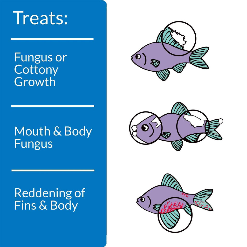 Antifungal Fish Remedy X82285