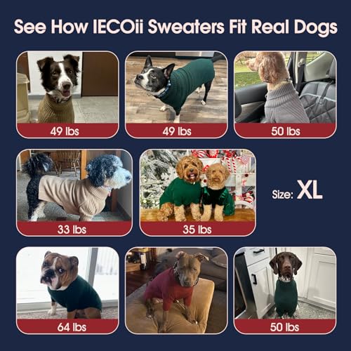 Green XXL Dog Sweater V856