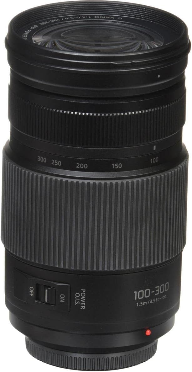 100-300MM Mirrorless Micro Four Thirds Lens Y1801
