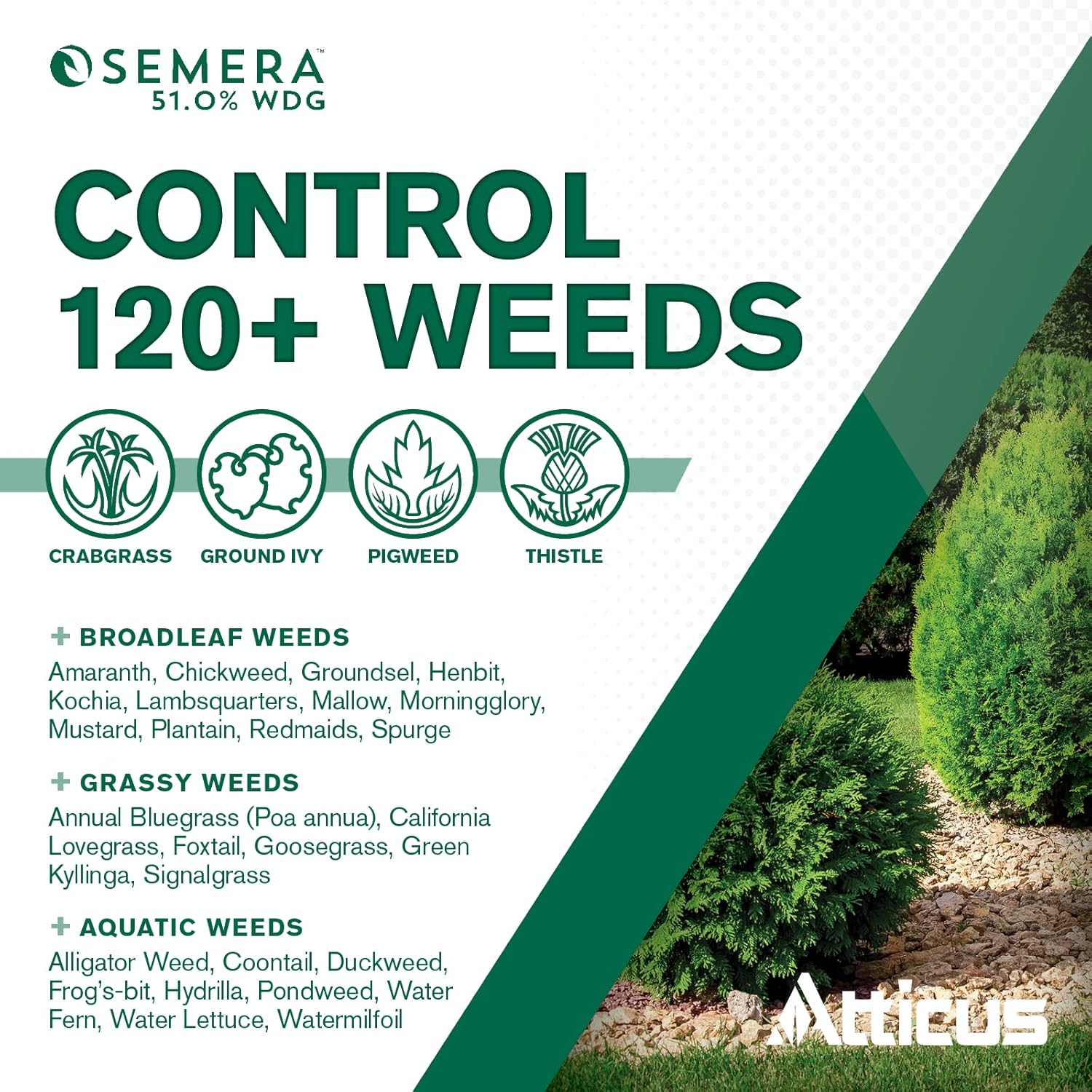 51.0% WDG Aquatic Herbicide (1 lb) Flumioxazin 51% I3381