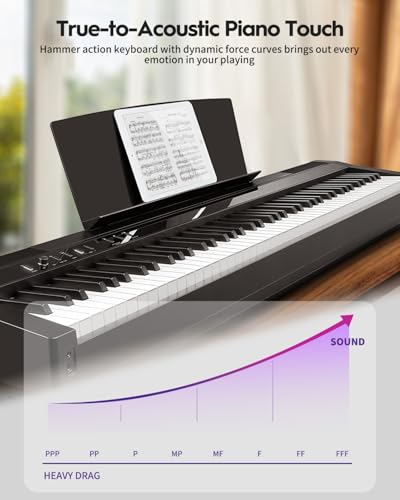 Black 88 Key Weighted Digital Piano C37163