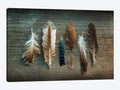 Canvas Wall Decor Prints Feather Collection X138