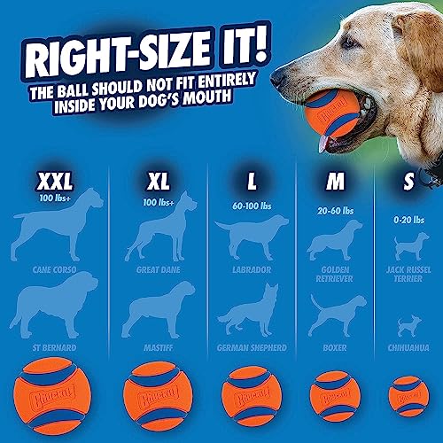 Medium Fetch and Dog Ball Tug Toy S31041