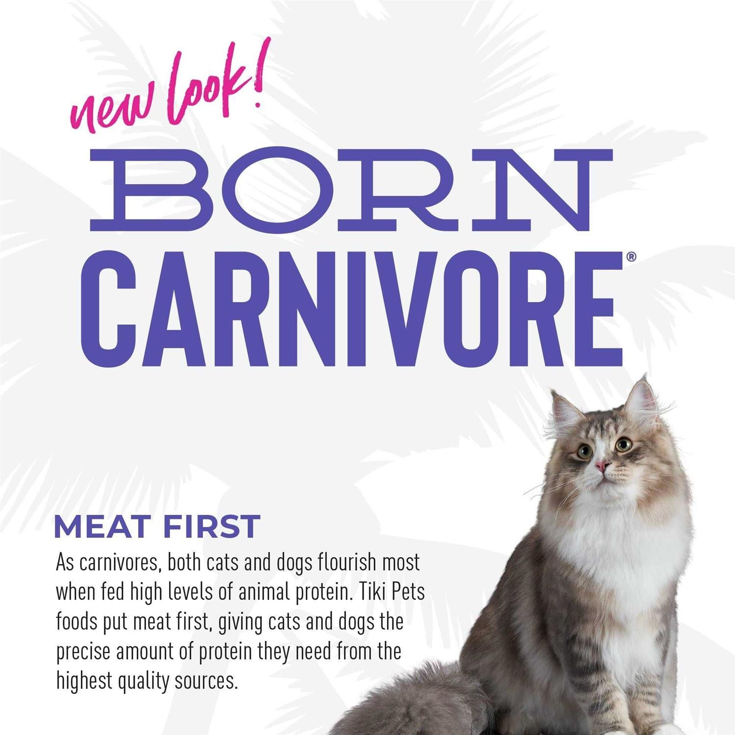 Turkey Light Dry Cat Food P236