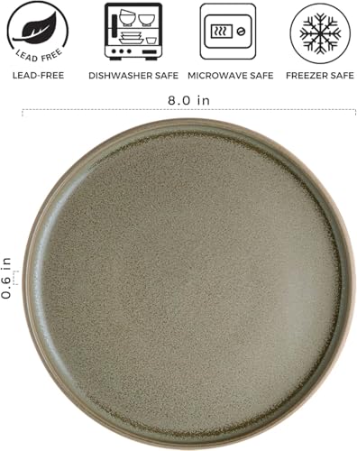 Stoneware Dinner Plates Set of 4, 10.25 Inch Reactive Matte Glaze Ceramic Plates Z272