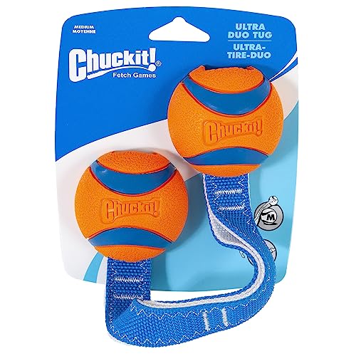 Medium Fetch and Dog Ball Tug Toy S31041