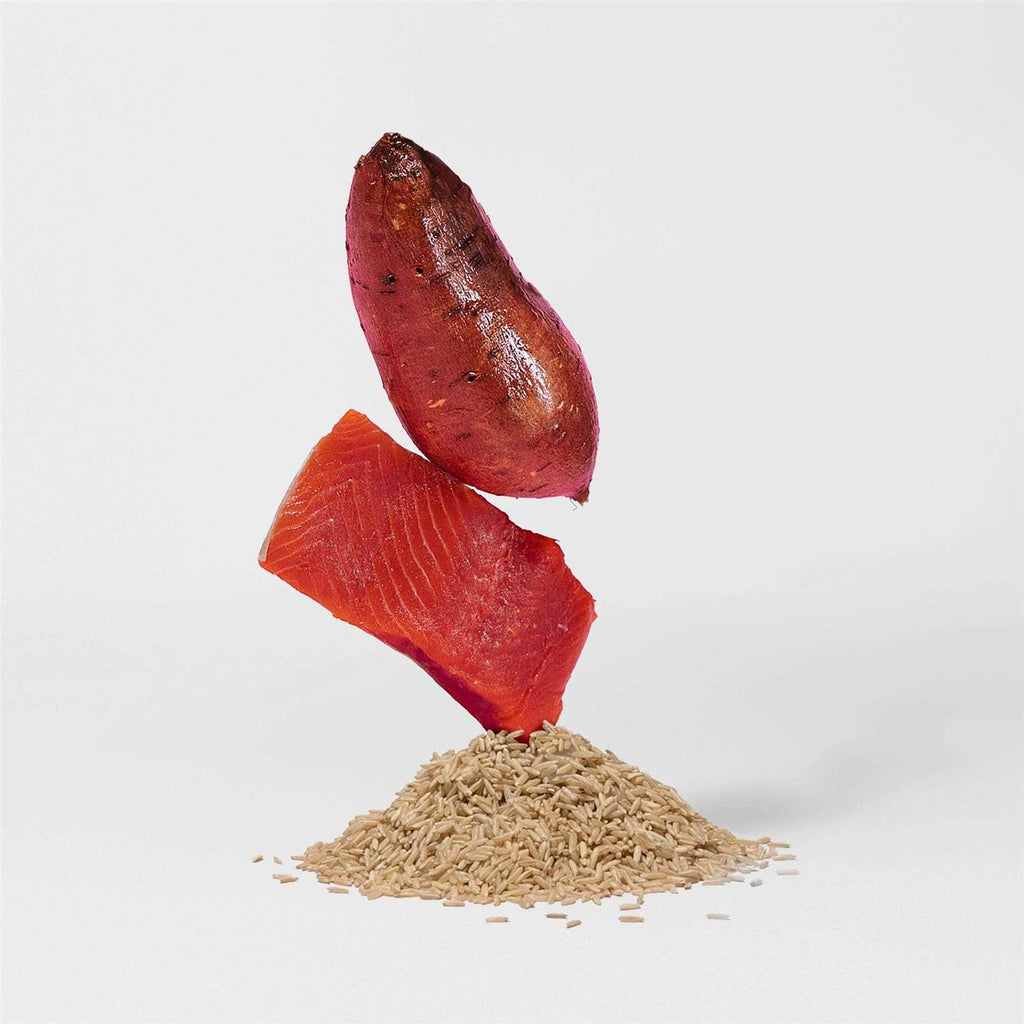 Salmon Brown Rice & Sweet Potato Dry Dog Food F224426