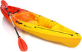 10.2FT Sit-On-Top Fishing Kayak with Aluminum Paddle & Bungee Storage N2541
