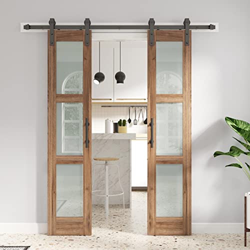 Double 18 x 84 inch Glass Barn Doors with Hardware Kit A557285