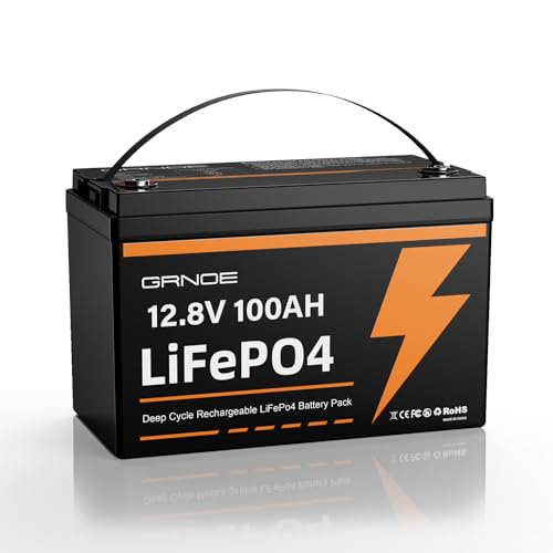 12V 100Ah LiFePO4 Group 31 Lithium Battery with Built-in 100A BMS S7087