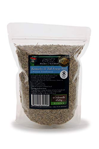 3lbs Tall Fescue Grass Seed Q505
