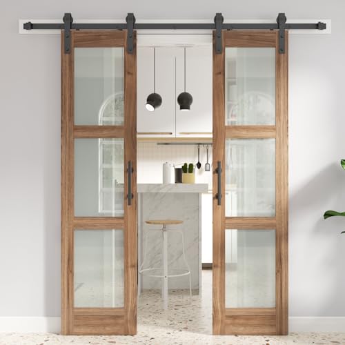 Double 18 x 84 inch Glass Barn Doors with Hardware Kit A557285